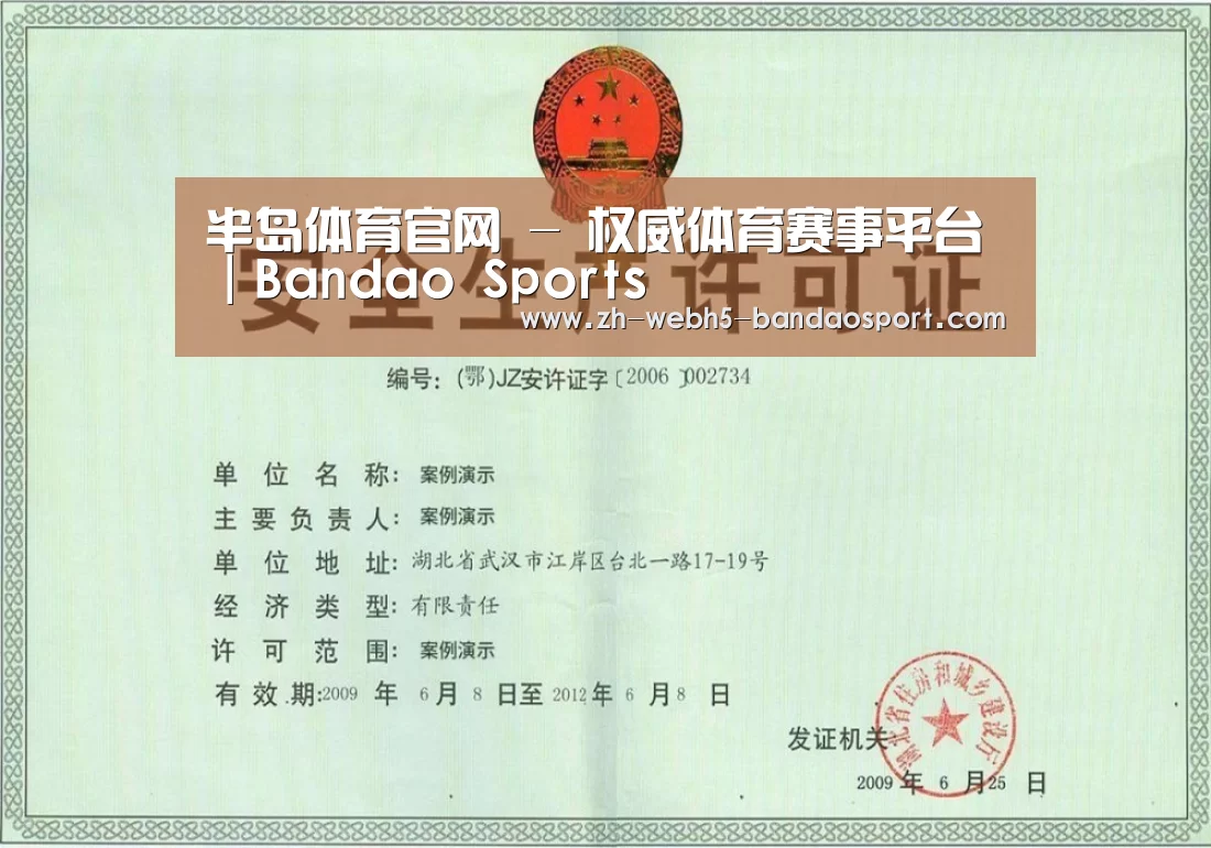 半岛体育网址荣誉证书三(图1)