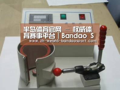 半岛体育网址案例展示六(图1)