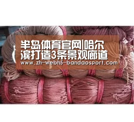 半岛体育官网|哈尔滨打造3条景观廊道与14个特色景观分区(图2)