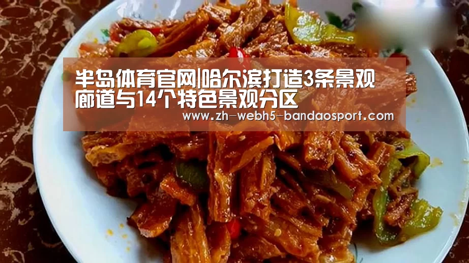 半岛体育