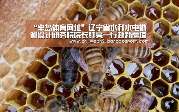 “半岛体育网址”辽宁省水利水电勘测设计研究院院长钟亮一行赴新疆塔城地区调研(图2) “半岛体育网址”辽宁省水利水电勘测设计研究院院长钟亮一行赴新疆塔城地区调研(图2)