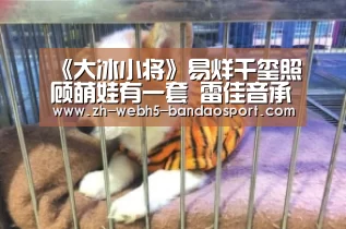 半岛体育