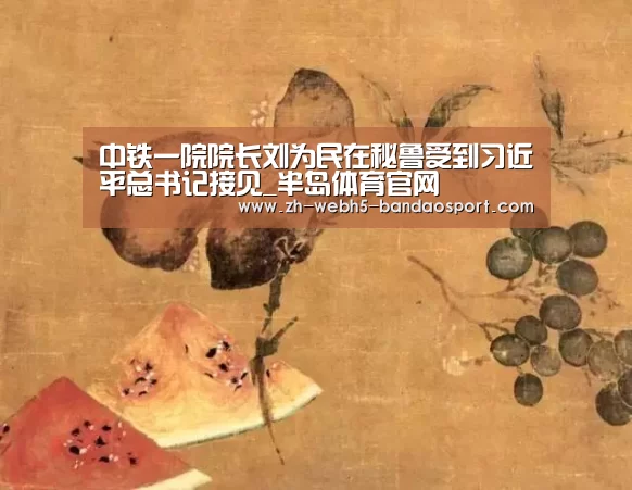中铁一院院长刘为民在秘鲁受到习近平总书记接见_半岛体育官网(图2) 半岛体育官网